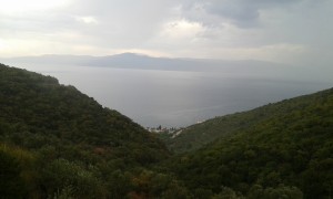 mudanya-kumyaka-satilik-zeytinlik